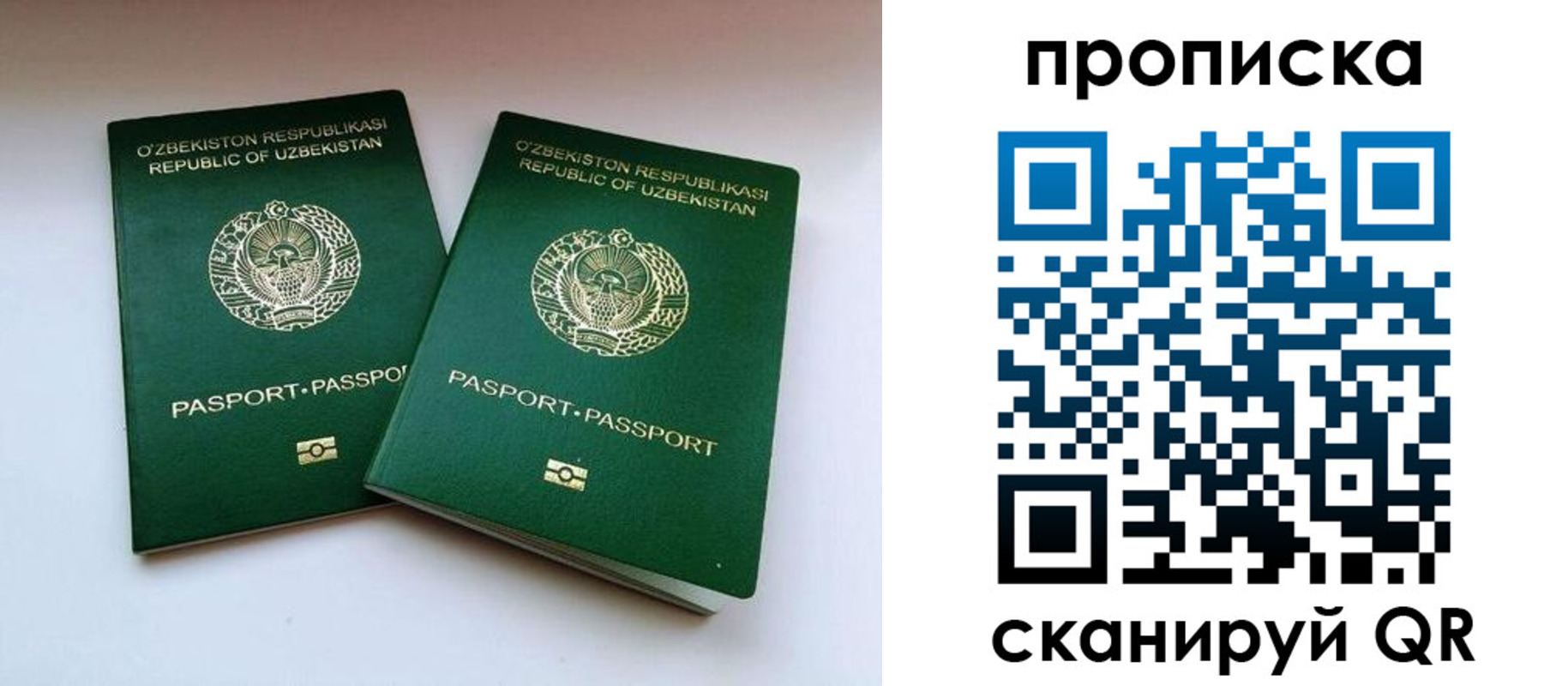 прописка поиск в Берёзовском